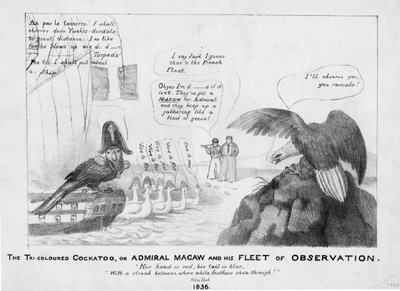 El cockatoo tricolor, o, Almirante Macaw y su flota de observación, 1836 de American School