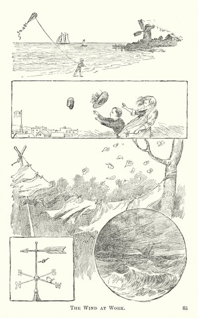 El viento en acción de American School