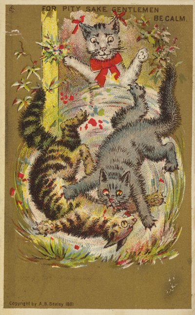 Tres Gatos Juguetones de American School