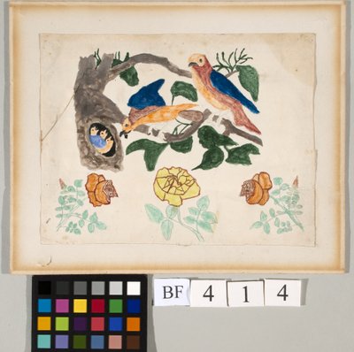 Tres rosas y una familia de pájaros de American School