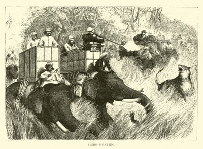 Caza de tigres de American School