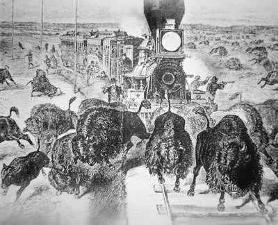 Pasajeros del tren en el ferrocarril Kansas Pacific, cazando búfalos por deporte en la década de 1870 de American School