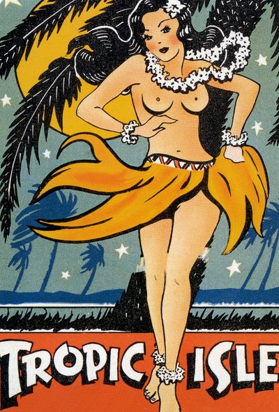 Cartel de la Isla Trópica de American School