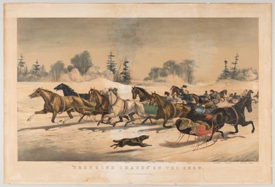 Carreras de trote en la nieve de American School