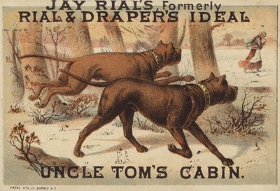 Dos perros en el bosque de American School