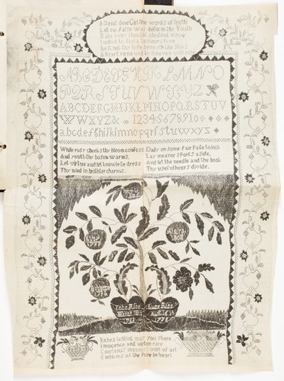 Imagen desconocida de American School