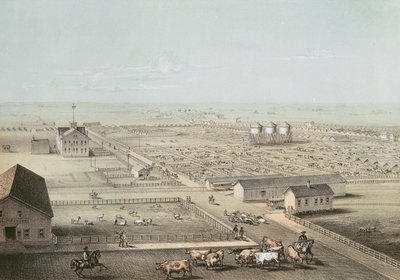 Union Stockyards, Chicago de American School