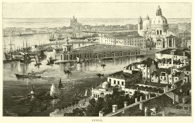 Venecia de American School