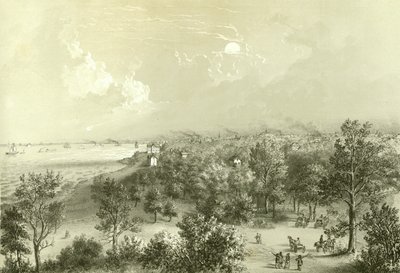 Vista de Lake View House, de Chicago Illustrated, con descripciones literarias de James W. Sheahan, publicado por Jevne & Almini, Chicago, 1866-67 de American School