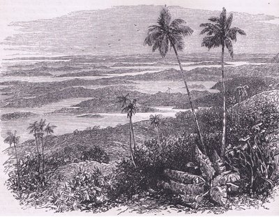 Vista de las Bermudas, ilustración de Cassell