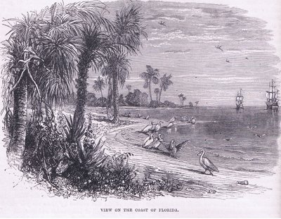 Vista de la costa de Florida, ilustración de la Historia de los Estados Unidos de Cassell, publicada por Petter & Galpin c.1890 de American School