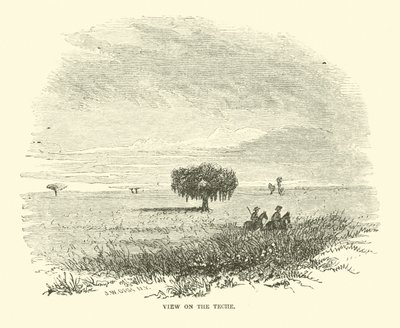 Vista en el Teche, abril 1863 de American School