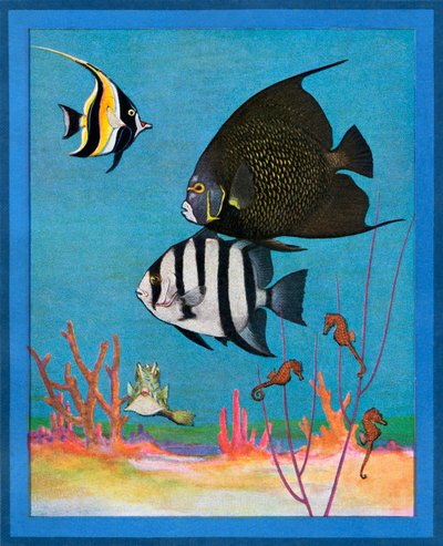 Impresión vintage de un acuario de agua salada con peces tropicales de American School