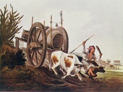 Carro de agua, reproducido de Ilustraciones Pintorescas de Buenos Aires y Montevideo de Vidal, pub. en 1820, de El Romance del Río de la Plata, Vol. I, por W. H. Koebel, 1914 de American School