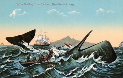 Balleneros arponeando un cachalote frente a New Bedford, Massachusetts de American School