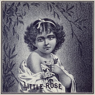 Niña sosteniendo rosas de American School