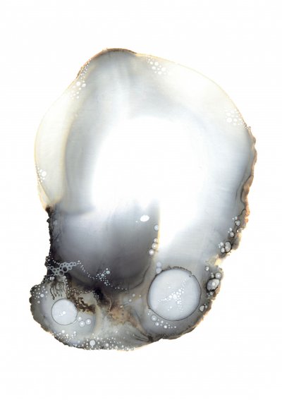 Ejemplo XI de Amy Louise Baker