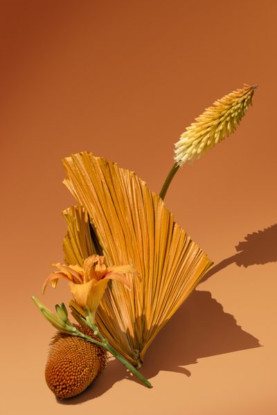 Ikebana 02, 2018 (fotografía) de Ana Carolina Tavares Mizrahi