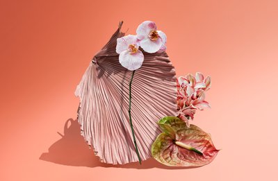 Ikebana 06, 2018 (fotografía) de Ana Carolina Tavares Mizrahi
