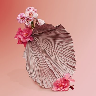 Ikebana 09, 2018 (fotografía) de Ana Carolina Tavares Mizrahi