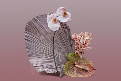 Ikebana 12, 2018 (fotografía) de Ana Carolina Tavares Mizrahi