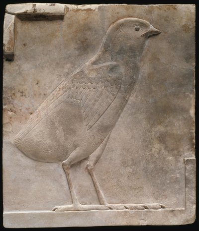 Placa con un polluelo de codorniz de Ancient Egyptian