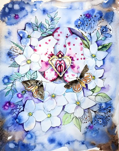 Las mariposas orquídea de ensueño de Anda Bieza
