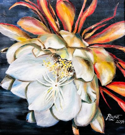 Flor de la Reina de la Noche de Anda Bieza
