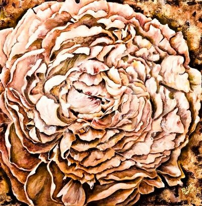 Cálida flor de peonía de Anda Bieza