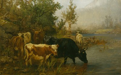 vacas junto al agua de Anders Askevold