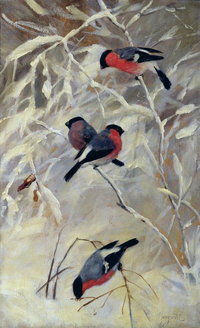 Camachuelos (óleo sobre lienzo) de Anders Kongsrud