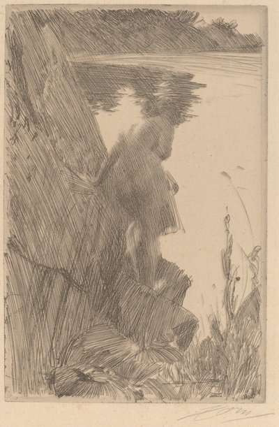 Bañista III Baigneuse de Dos, 1896 de Anders Leonard Zorn