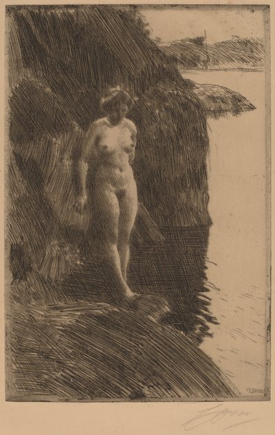 Precipicio, 1909 de Anders Leonard Zorn