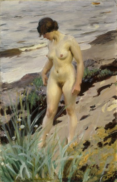 Estudio de Sandhamn de Anders Leonard Zorn