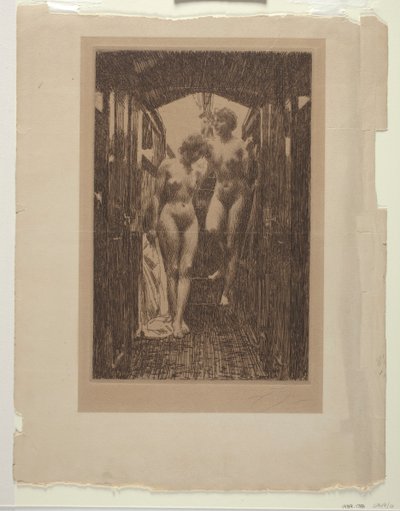 El Cubículo de Anders Leonard Zorn