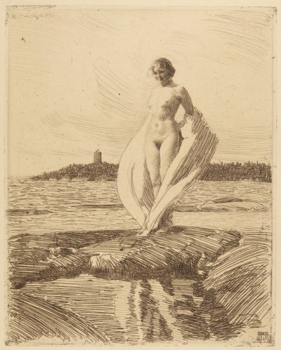El cisne de Anders Leonard Zorn