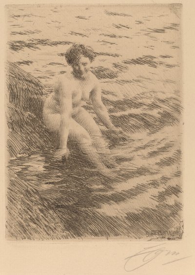Mojado, 1911 de Anders Leonard Zorn