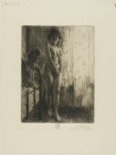 Un rincón oscuro de Anders Leonard Zorn