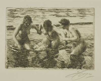 Contra la corriente de Anders Leonard Zorn
