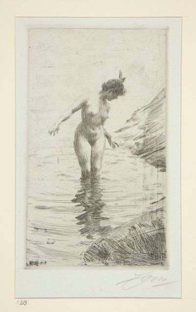 Cercles d de Anders Leonard Zorn