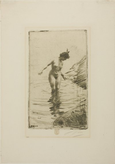 Círculos de agua II de Anders Zorn