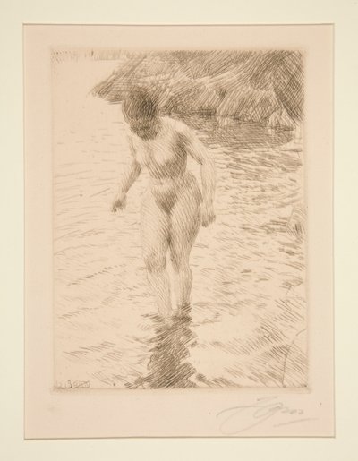 dolares de Anders Leonard Zorn