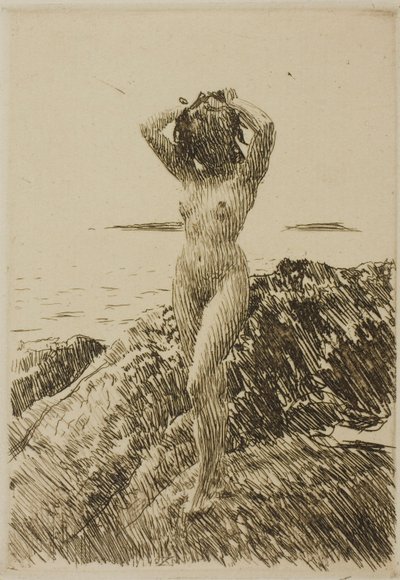 Corona de Algas de Anders Zorn