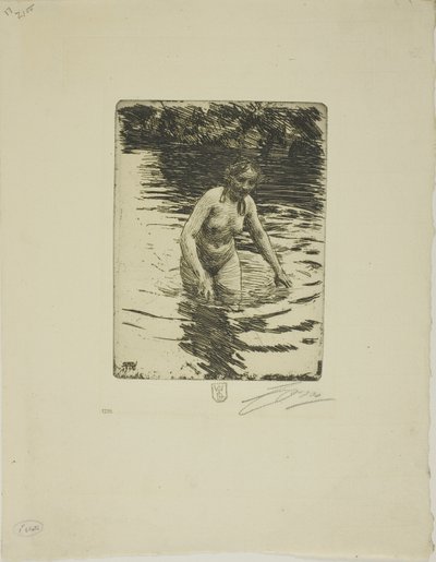 Hemulå II de Anders Leonard Zorn