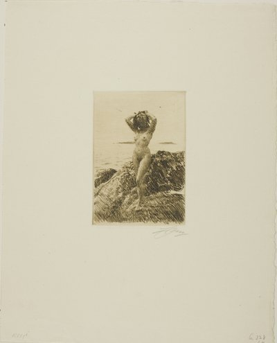 Corona de algas marinas (Hårtång) de Anders Leonard Zorn