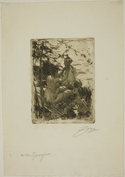 Al Aire Libre de Anders Leonard Zorn