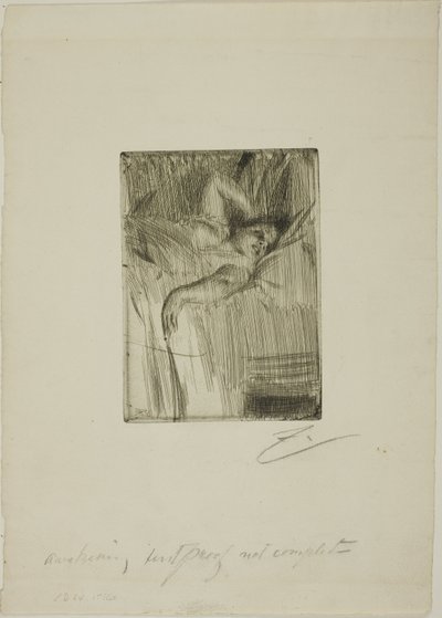 El despertar de Anders Leonard Zorn