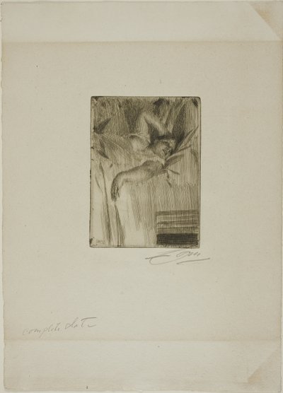 El Despertar de Anders Leonard Zorn