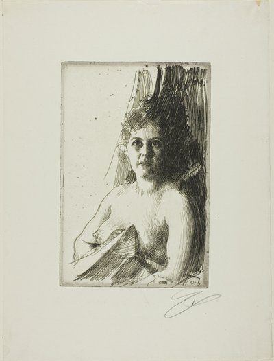 Estudio de desnudo III de Anders Leonard Zorn