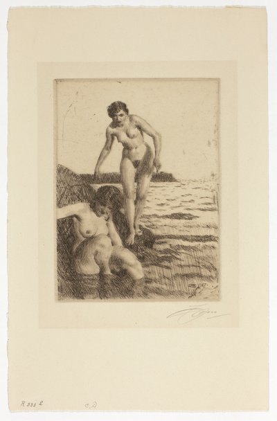 En la Isla de Hemsö de Anders Zorn
